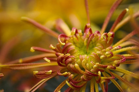 �����ľջ�