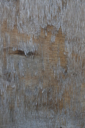 ľ����������