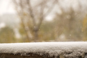 �����ϵĻ�ѩ