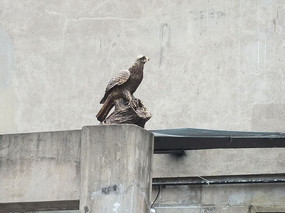 С����ɫ����