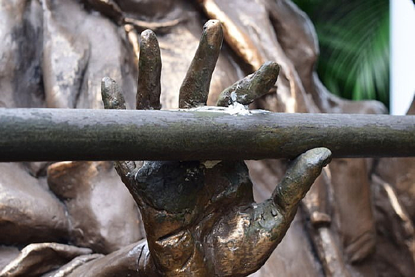 һֻ�ֵ���д