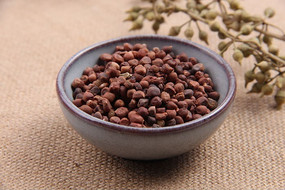 ��ҩ�����