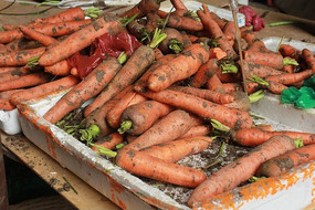 �ճ����ĺ��ܲ�