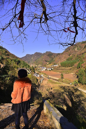 �����µ�����