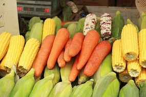 ���ܲ�����