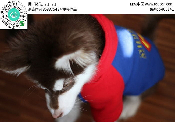 ���ȳ��ﹷ��