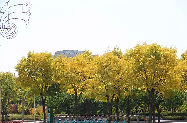 ����֮��