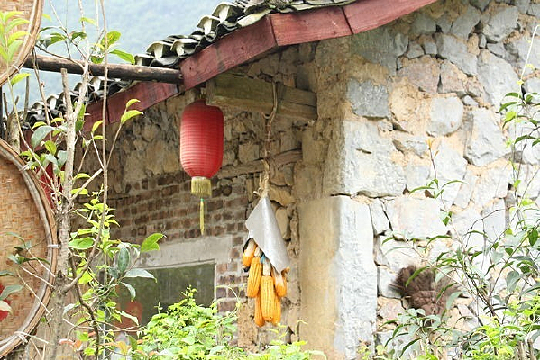 ���ŵ�����