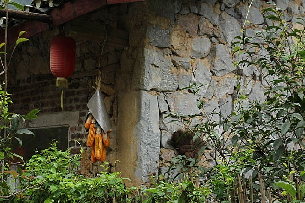 ����һ��