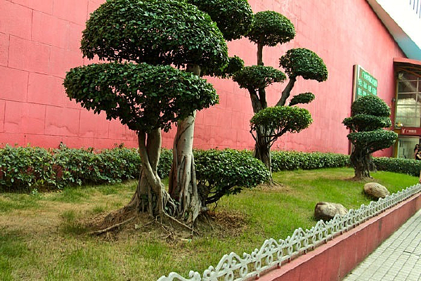 ���ݵ�����˾԰�־���