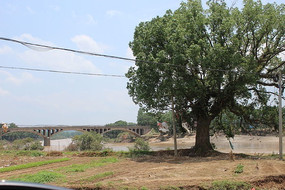 ��ˮ�����ũ��