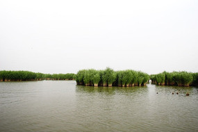 ����ɳ�����