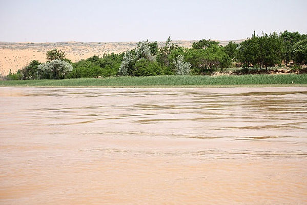 ���е�С��