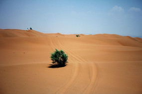 ɳĮ�е�С��