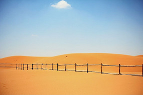 �ڸ����ɳĮ