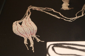 ��ɫ����