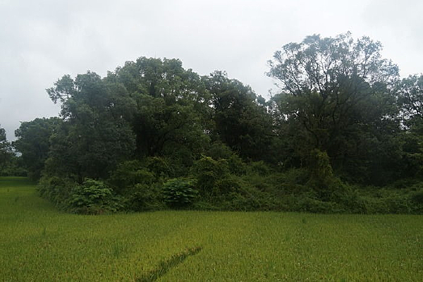 �������