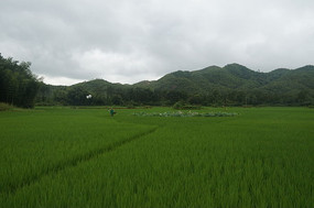 ������ɽ