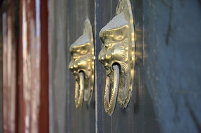 ��ɫ��ʨ��