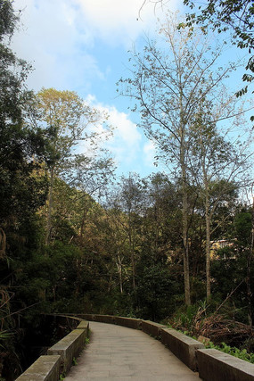 �����µ�С��