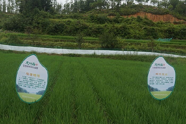 ����ˮ����