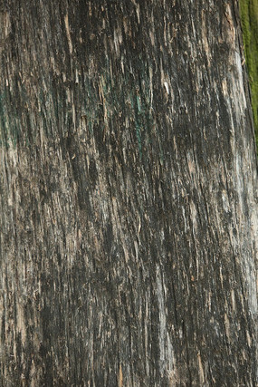 ��ɫ���������ز�