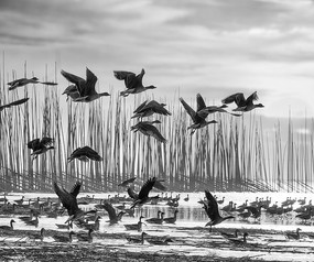 �������