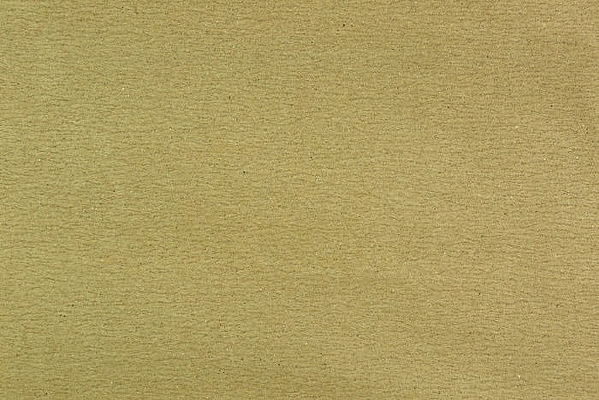 ֽ����������