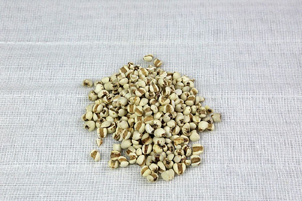 �������޲��