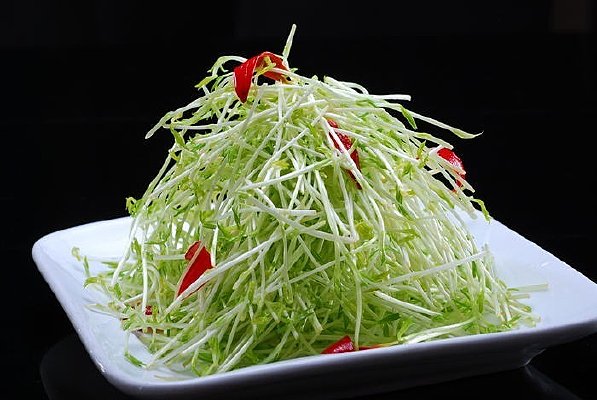 ��������ѿ