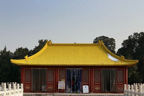 ��ɫ�ݶ�����