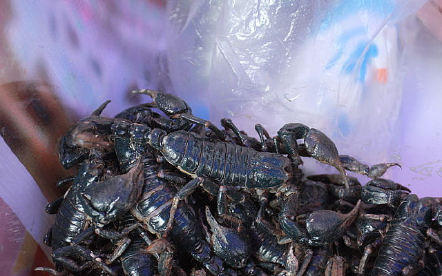 ��������Ы��