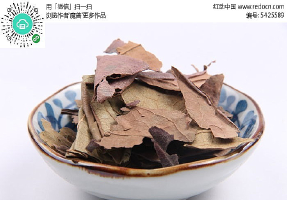 ��ҩ����Ҷ��Ӱͼ