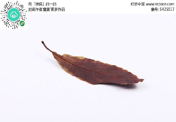 ��ҩ�ļ���