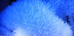 ��Ө�ı���