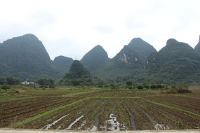 ���Ǹ�ɽ��Ұ