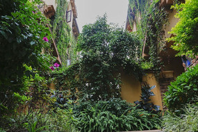 �������ݵ�Ư����ɽ��