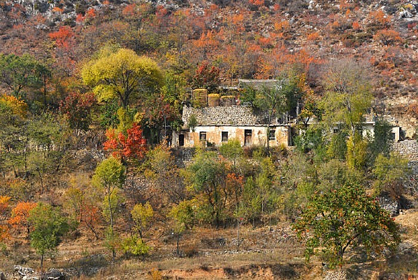 �����̫��