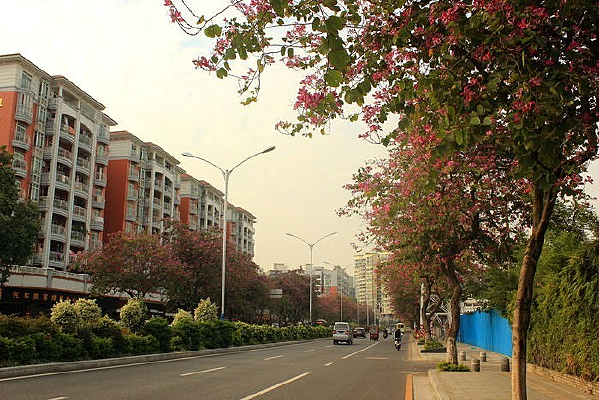 ����С����·