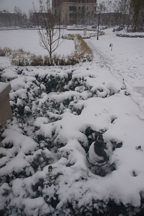 ����ѩ��