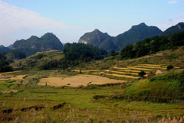 �ջ�����