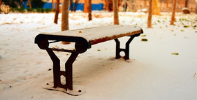 ѩ��԰�ڵĳ���