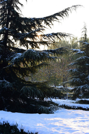 �����µ�����