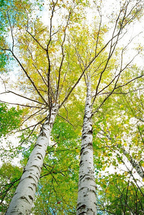 ������������д