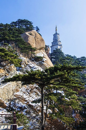 �����ǧɽɽ�������ձ���