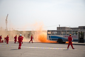 ����Ӧ������