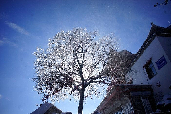 ��ɽ��¯��