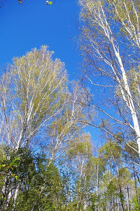 �＾������