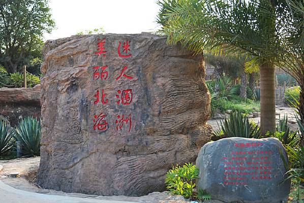 ���������԰