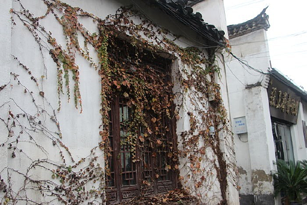 ����ɽ���ĹŽ�